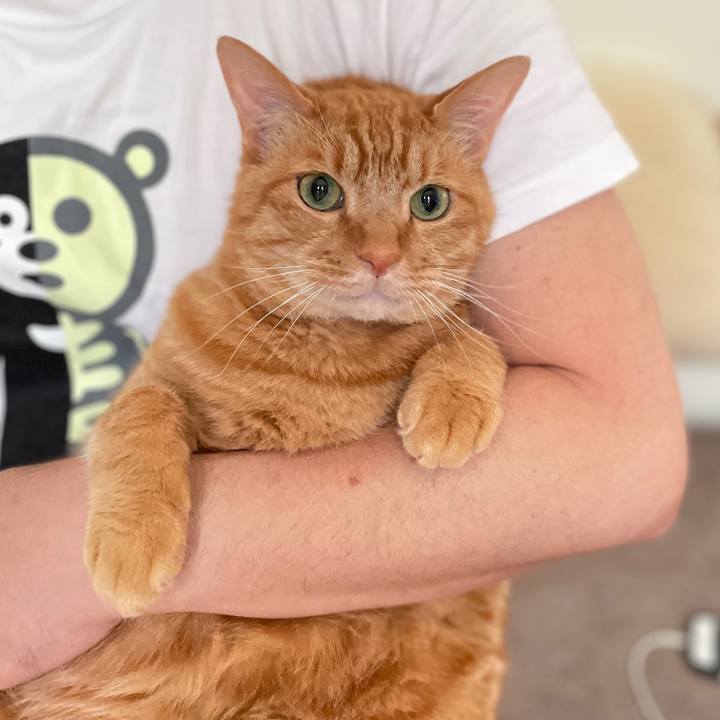 36d83764 af3a 406c bf50 40349e715002 1752579026565