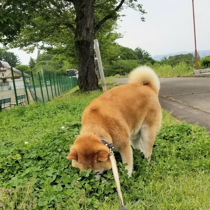 36d83fdc ec7c 418a a30b b4374f7e4cc6 1652685089846