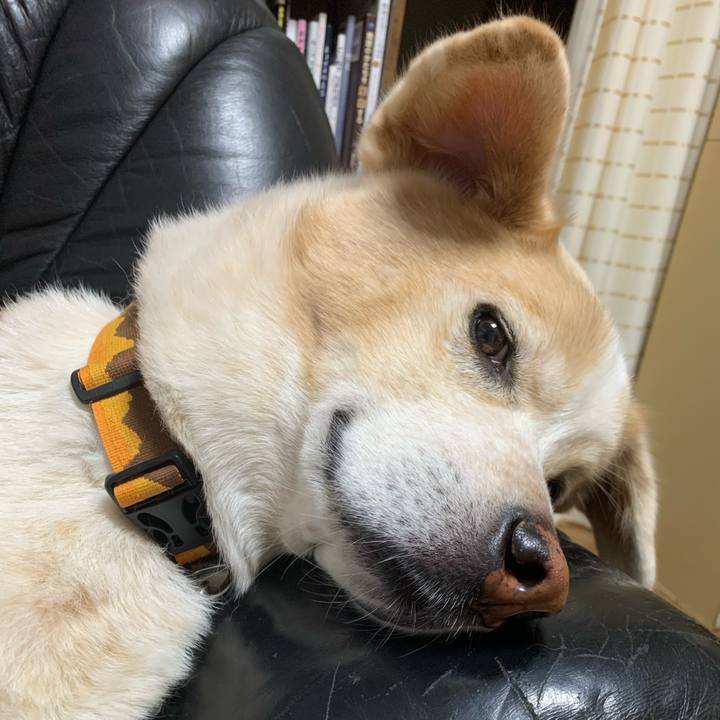 36d851e1 20d7 49da 9bb7 557c8fb217c4 1605532907980