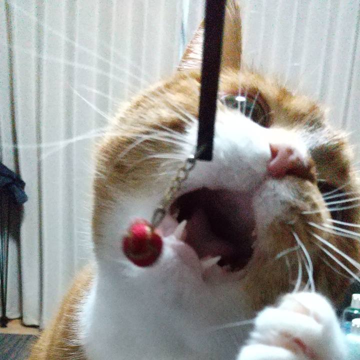 36d858a0 7810 4dd1 a460 641e44d172c3 1646043660004