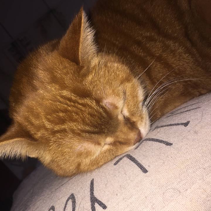 36d87fce 7b39 4521 b594 3033687db2d3 1548509059497