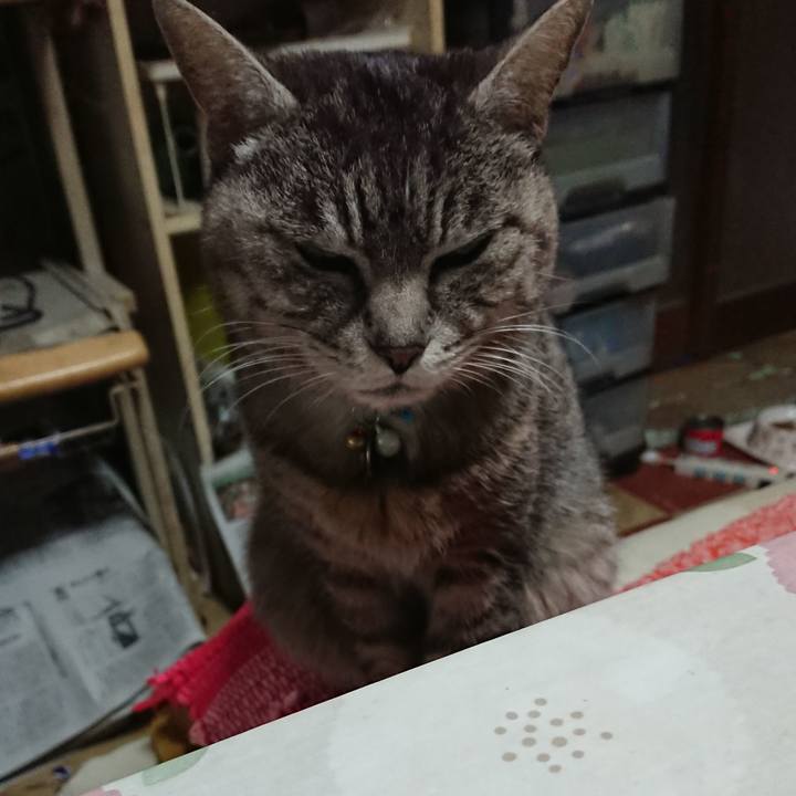 36d88e46 936a 4eb4 b2c0 96fe03df19a8 1554759366268