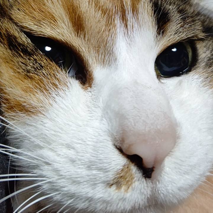 36d89076 47f3 4e08 8388 c857d2321376 1623189144273