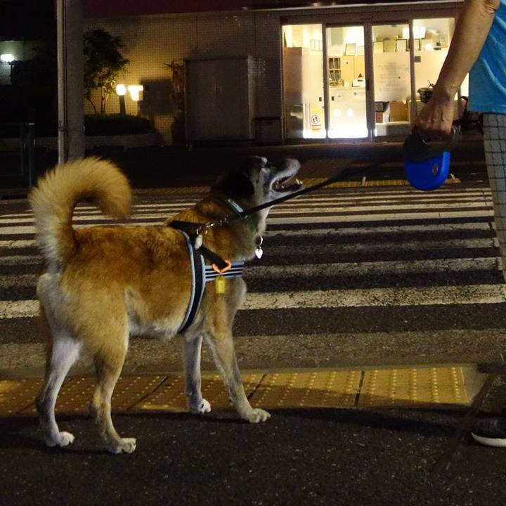 36d8f7f4 5c3e 4aed b254 65ea3c158e26 1569849040201