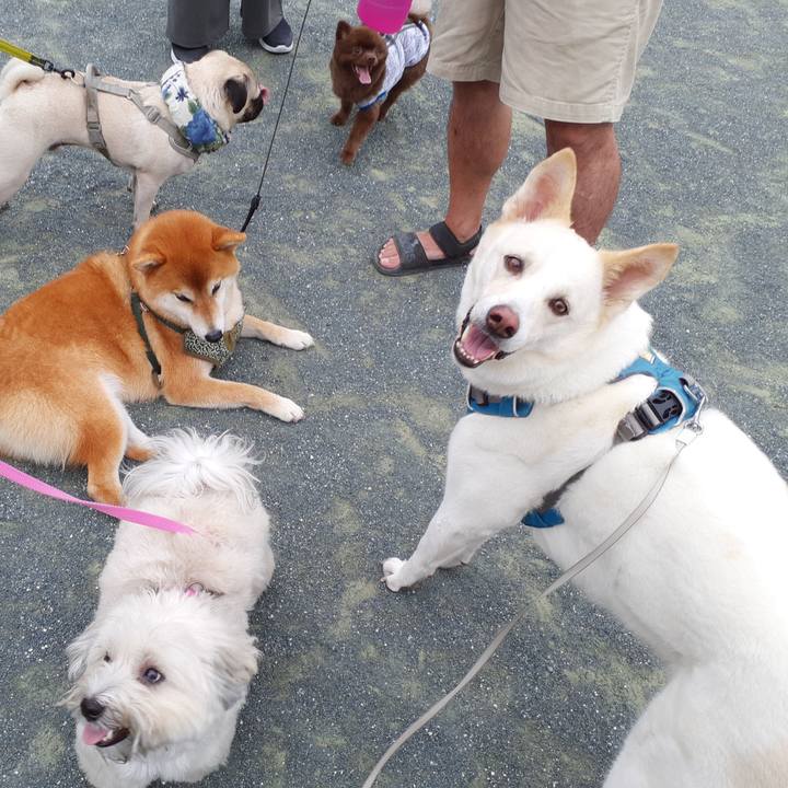 36d8fb24 e254 4cdb 8714 a0a75ddf5f50 1659743529952