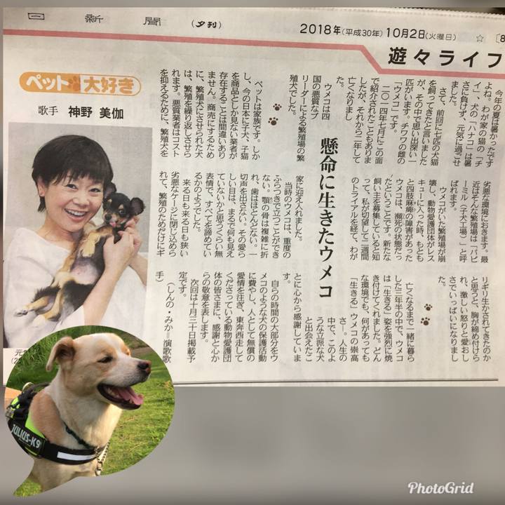 36d8fffa 2cb9 4c76 b91c 86e587b890df 1538491614390