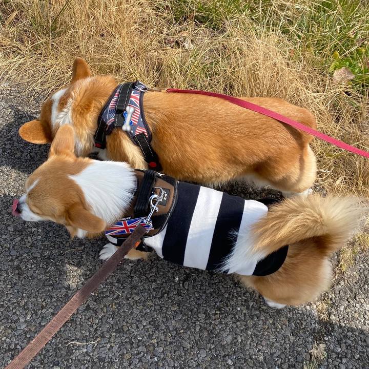 36d92f85 7565 4857 b0aa 1cb8b5a4ed8f 1646996477675