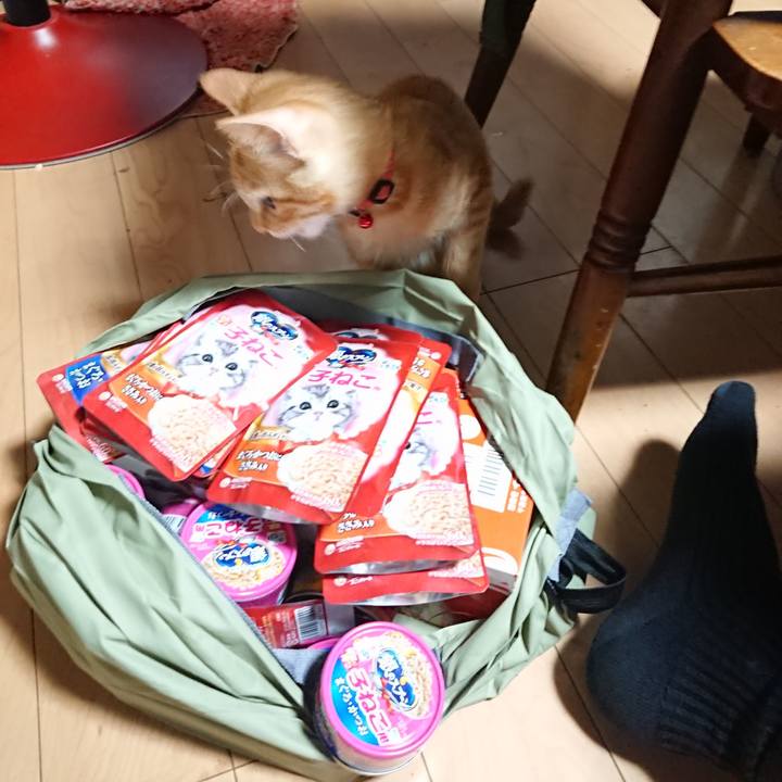 36d9420a 2fa9 49fe 83f2 0c84cb8f1ae8 1633167818892