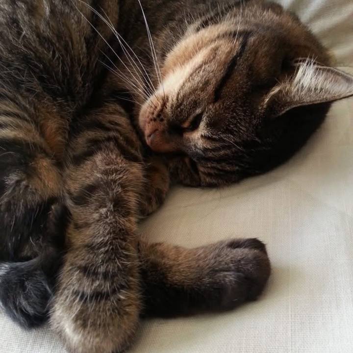 36d987ab 5552 486d 82e0 b283eef55795 1763549172873