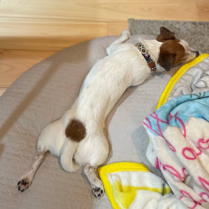 36d9d394 d4bd 4317 94dc e9036ebb26c2 1770629729236