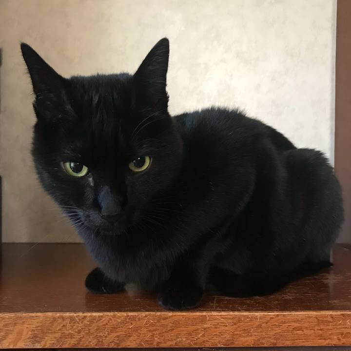 36da4e07 8a40 446f b77c d5f98caafcfd 1516064700962