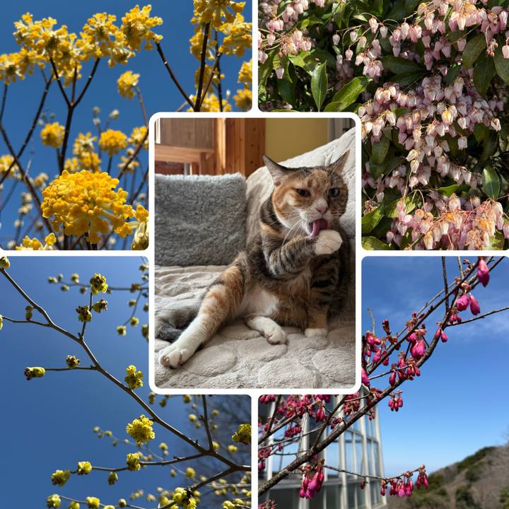 36da62f1 dbba 4a4e b155 ac42d1fa8bf3 1773985457502