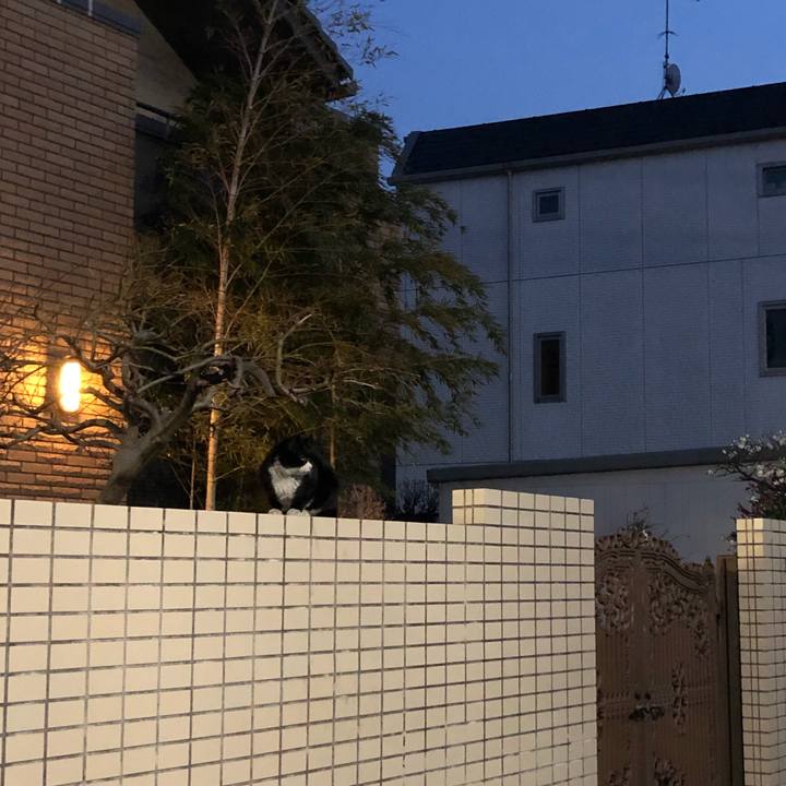 36da64d3 4aeb 41e4 808f 1fd415632804 1551460703907