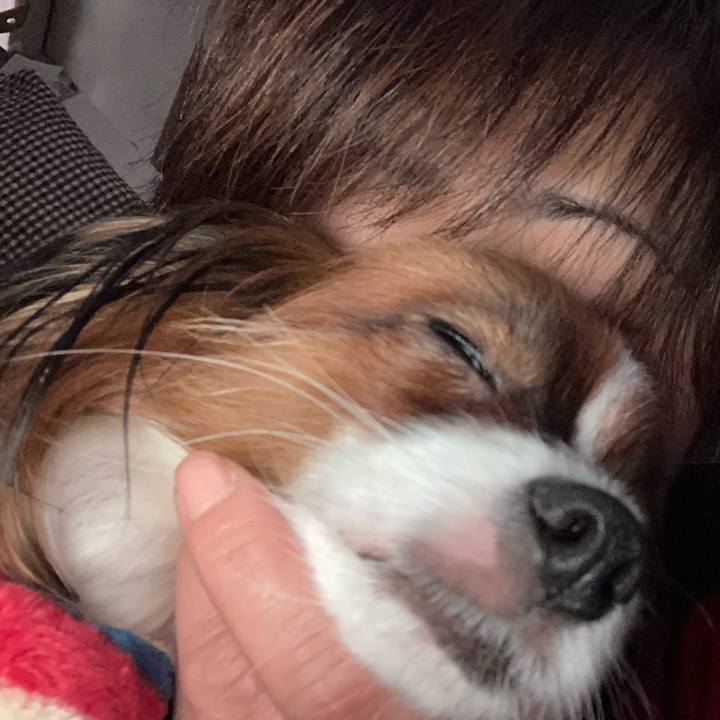 36daa65d fdd9 4199 9eae 05cef5359beb 1642039948576