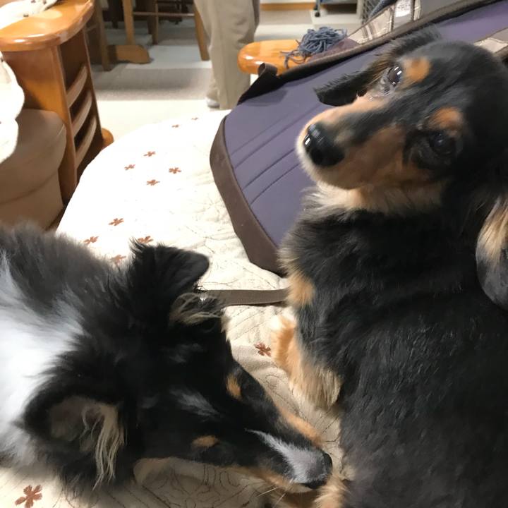 36daf330 28d4 40af 8657 409e78e7947f 1513807668041