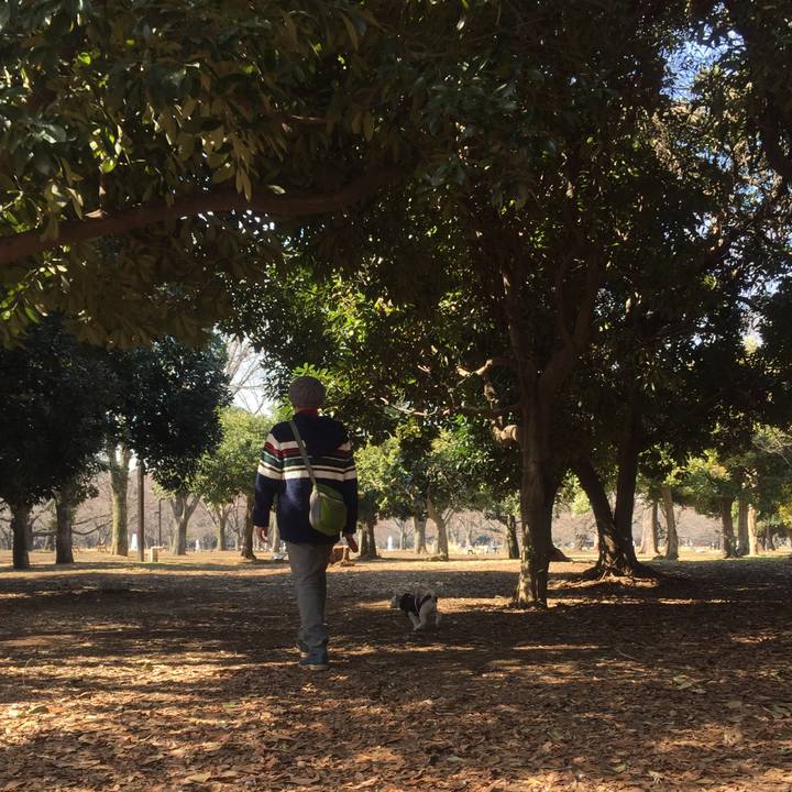 36db0411 7593 48ee 8a7b 1d76cda507c1 1520067275710