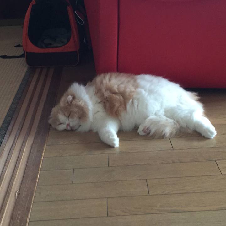 36db20b1 4f69 4ef0 b6aa 4aa5af6dc718 1528239785916