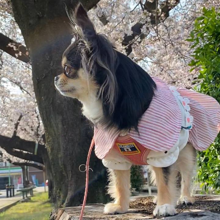 36db3788 92b1 4935 8ddb a7cf05fdafcc 1616796198025