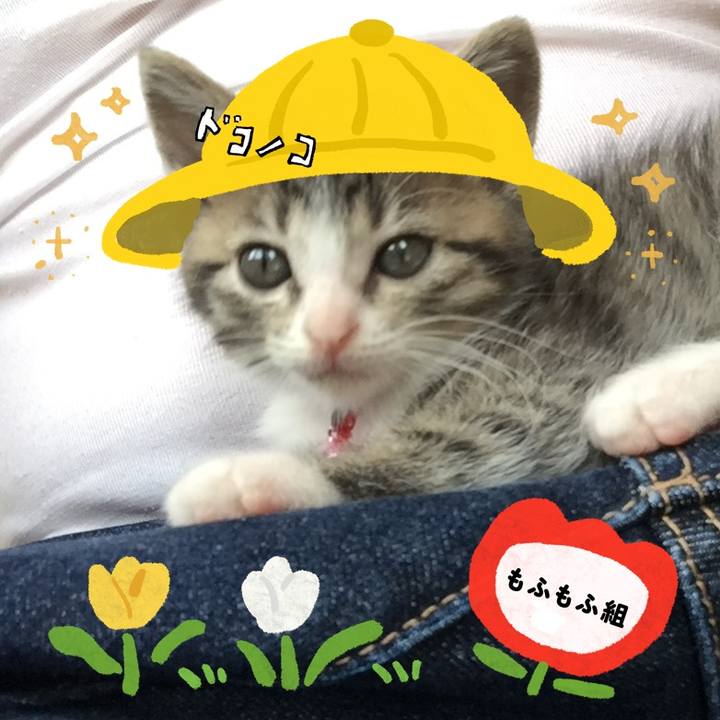 36db4ed1 09a2 430b b328 03e90f0f9eae 1712222823397