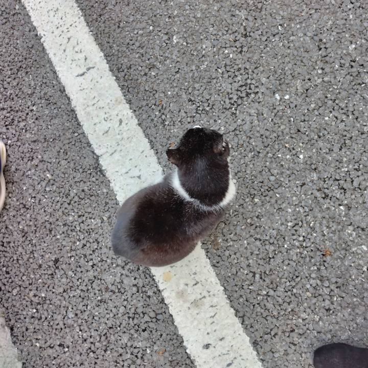 36dba240 5822 4c0b ae41 545837b790e7 1707348193774