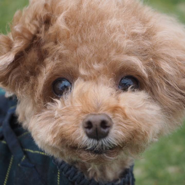 36dba63f 0106 4ea7 820a a368b09c2753 1523796317983