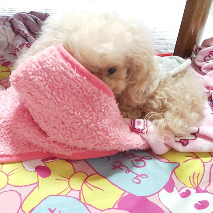 36dbb5f3 0e4f 4ee9 b781 0ec75251a9b6 1589262236875