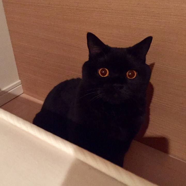 36dbbda8 e6da 46fc 86fb 32bcade655d1 1567686311050