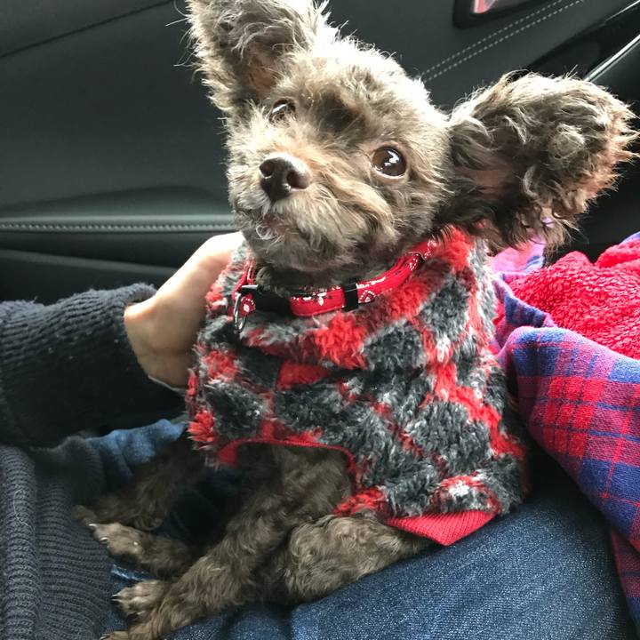 36dbcae9 8a5d 43b6 8454 21bf6af08861 1508671464378