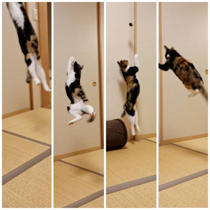 36dc04d2 c5d0 4db4 a140 f4564847e2d4 1607070759890