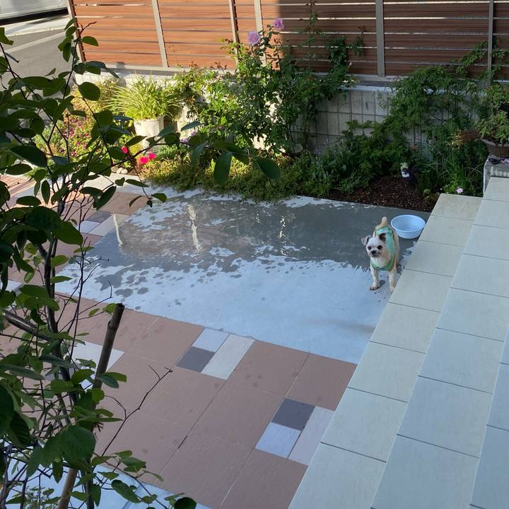 36dc25de 1fa8 43cb bf4c c1dd1144f648 1632745136096