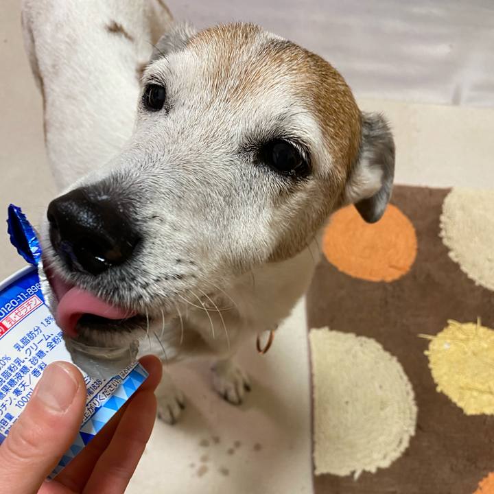 36dc4e9a fb91 48da 8185 f2290b17a026 1609799171698