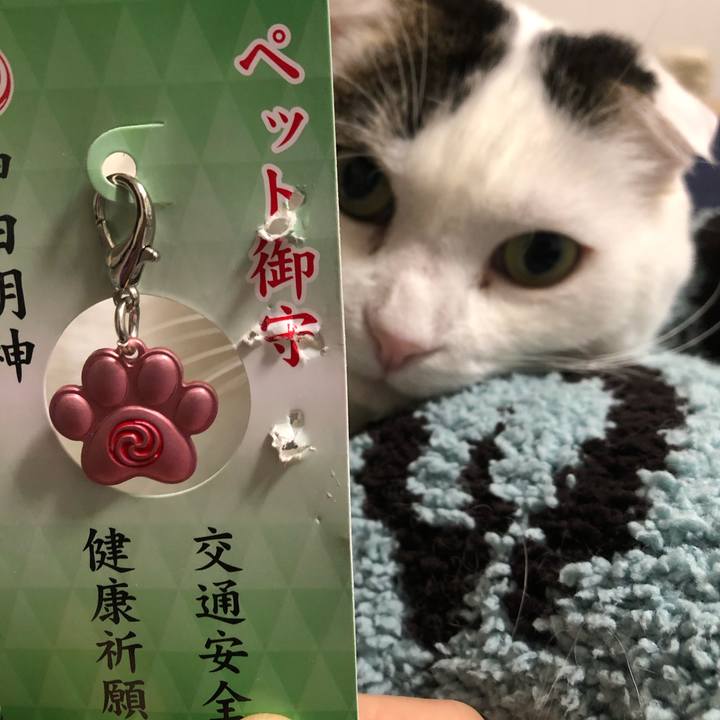 36dc6cd8 1f65 4386 bce4 6d60e4e00b4a 1609575070784