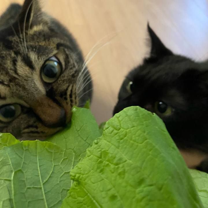 36dc767b 6ddb 4a26 882e b5a11b36cfaa 1634990251478