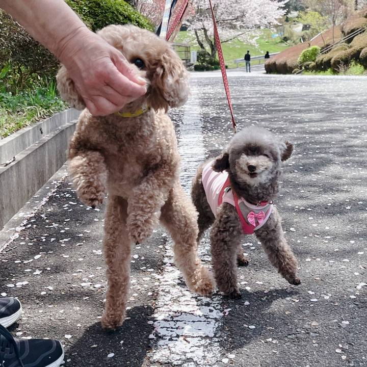 36dcc909 b390 4b3e 9467 77d416e5d0c3 1712890980829