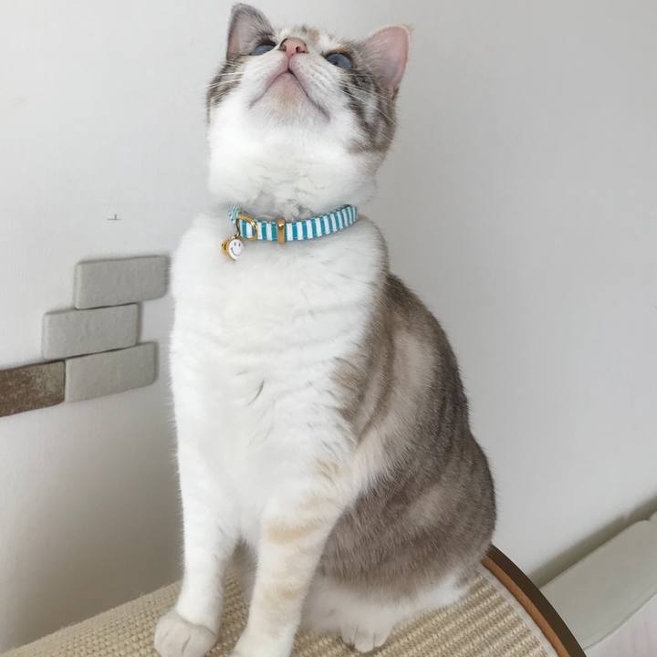 36dccae3 403f 4080 9b46 356d476fddbb 1527391094668