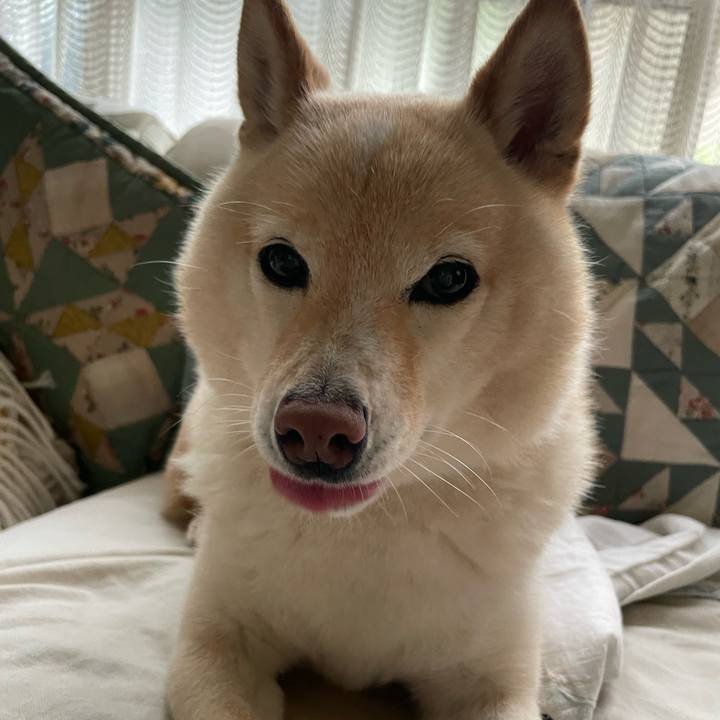 36dcf57b 4a7e 46a1 a0f1 c0bcc647843e 1747437116492