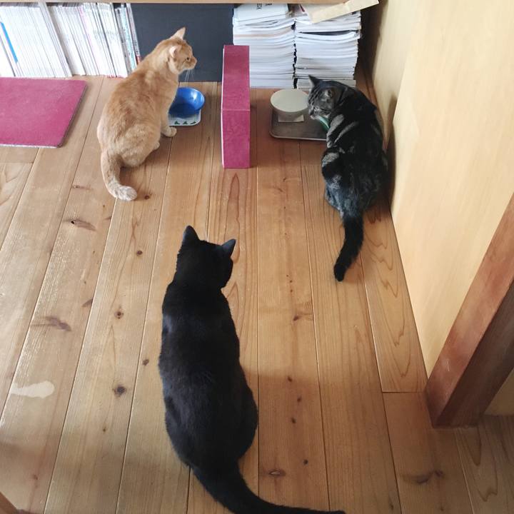 36dd0d4b e23c 4535 8f21 96dbb5f3ab0c 1570753203672