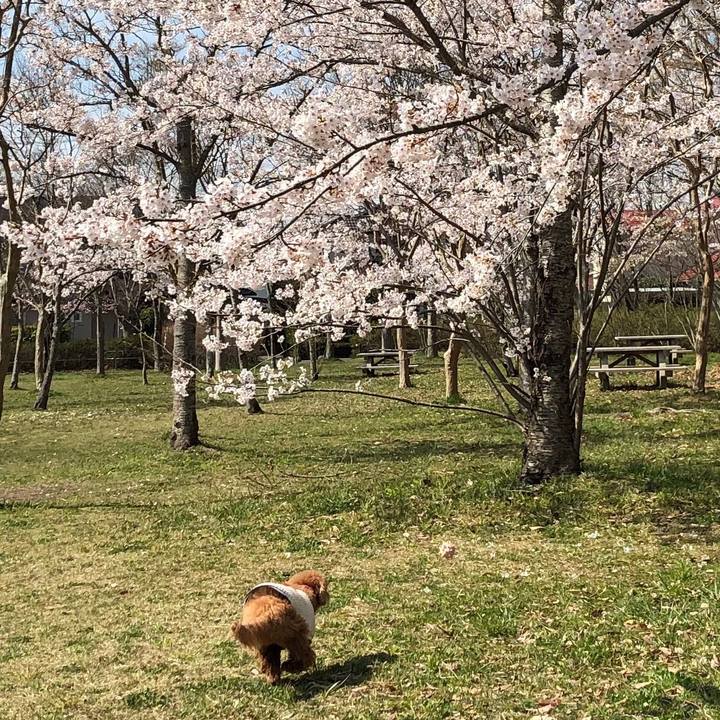 36dd3de3 b180 411f 8e89 9bb4fae5789f 1555461632411