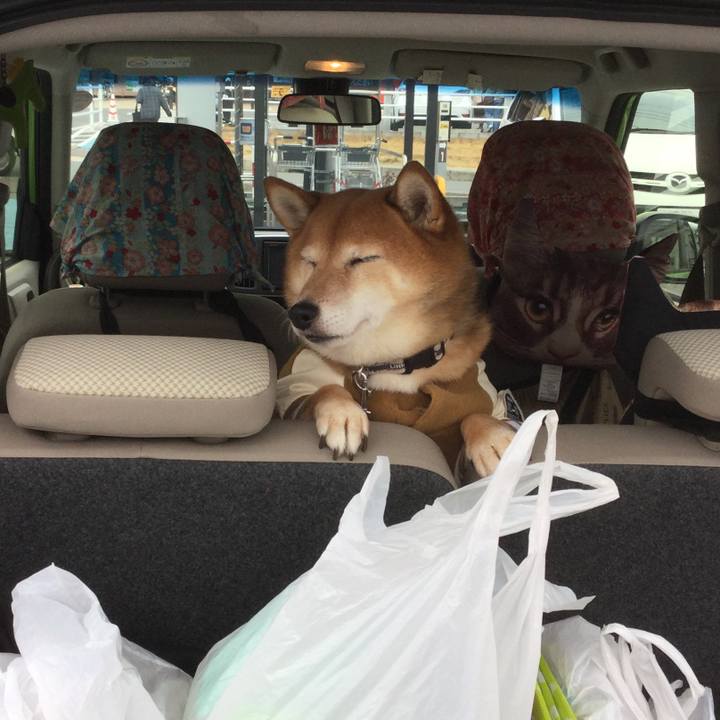 36dd4751 632b 4235 b77a 551c630df1ea 1577253426834