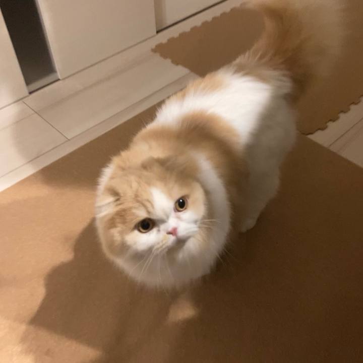 36dd5844 4c6d 4cd6 ab54 a341eb0fafe6 1670625927198