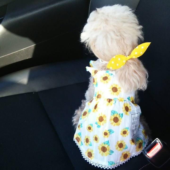 36dd5866 935d 4ed2 86f4 dba1931deb48 1557661416353