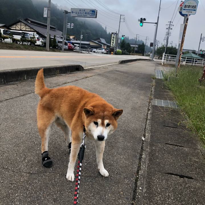 36dd6d9a 6291 49b0 a6c3 15a562d991c0 1600639325169