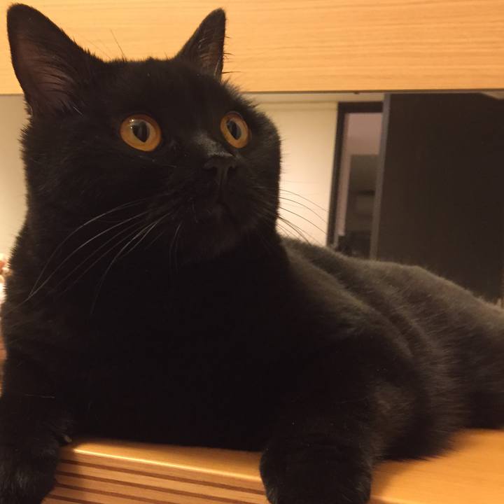 36dd78e9 e35d 4a4c ac8d 23d294813c3b 1508503127239