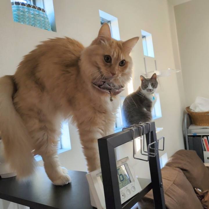 36ddb845 4d2a 4bf3 b949 5da3275e77f0 1733483444781