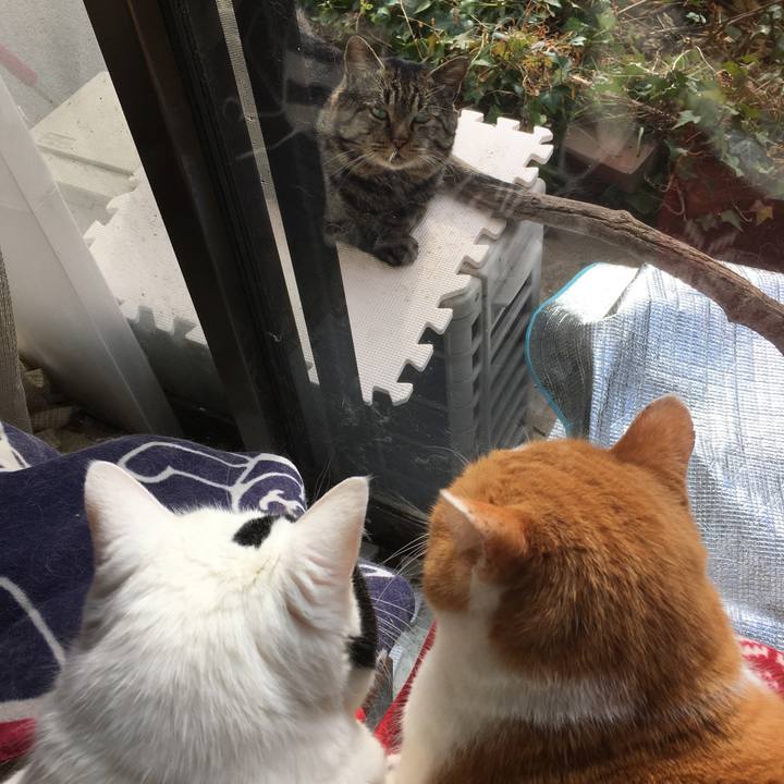 36ddc753 8316 4d51 a5c7 98f4bc9f46bd 1611641209992