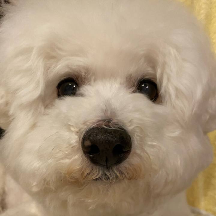 36de1b52 f9a7 466c 98cd 23ff7ec7a957 1647334422212