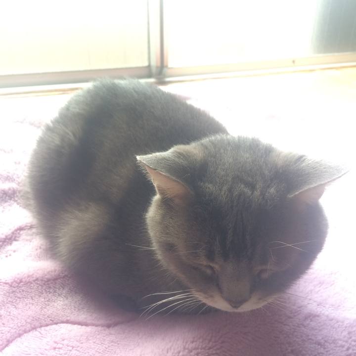 36de2137 0a6d 4915 8128 69ce181bc397 1512316297831