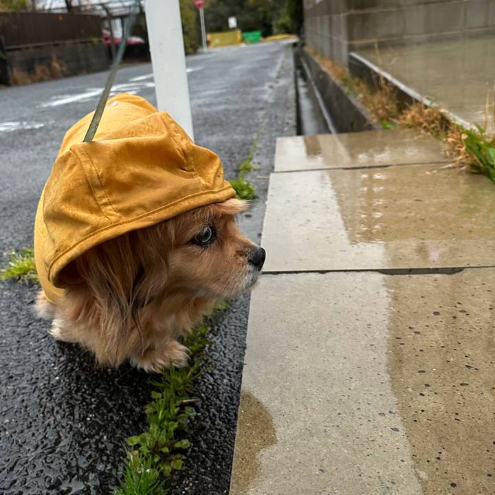 36de502c 5dbf 4e28 99a0 14e0d1ecffe8 1711660550725