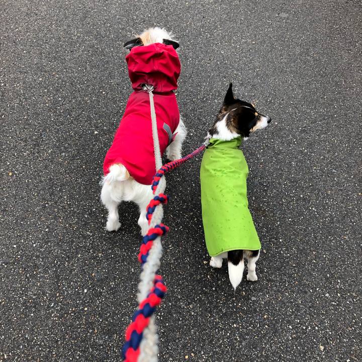 36de6005 ec57 4f80 a839 faba7b7d53ee 1554163250349