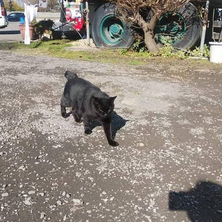 36de68f6 2492 40fb b7ec 96b7270bc1b2 1637926575655